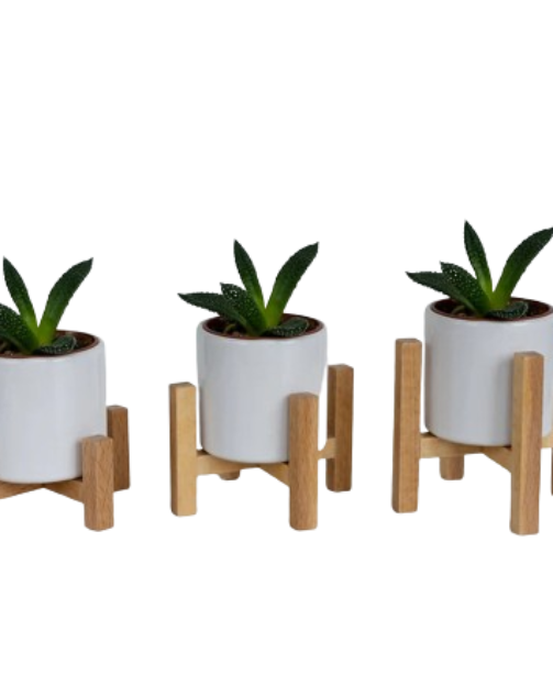 Plant plastic Pot with Wooden Stand