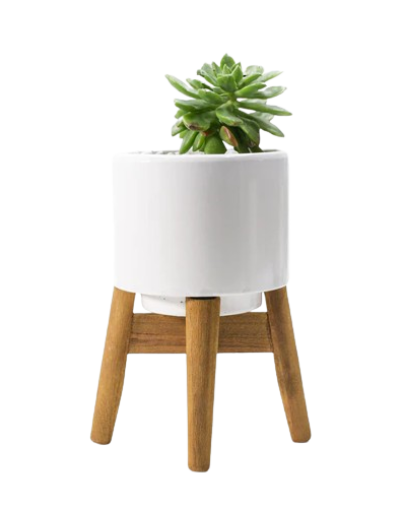 Plant plastic Pot with Wooden Stand