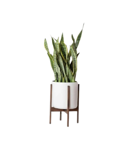 Plant plastic Pot with Wooden Stand